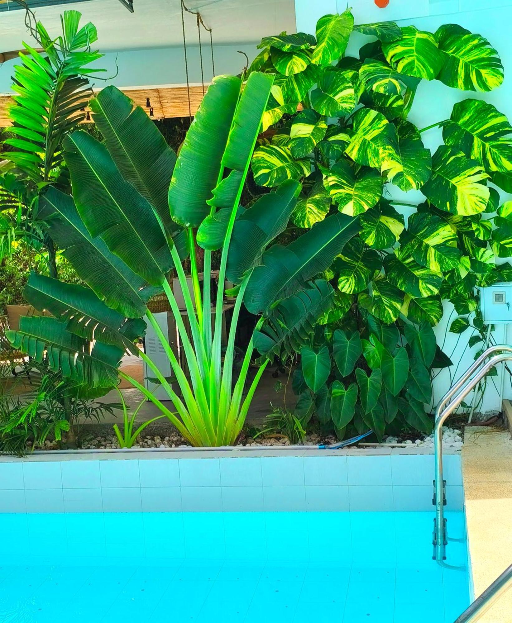 Diving Addiction Resort Panglao Exterior photo
